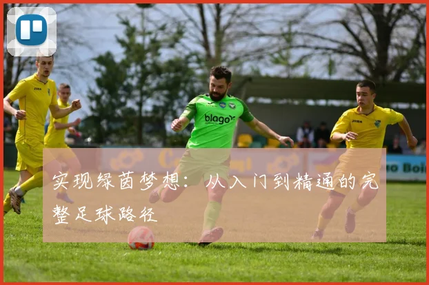 实现绿茵梦想：从入门到精通的完整足球路径